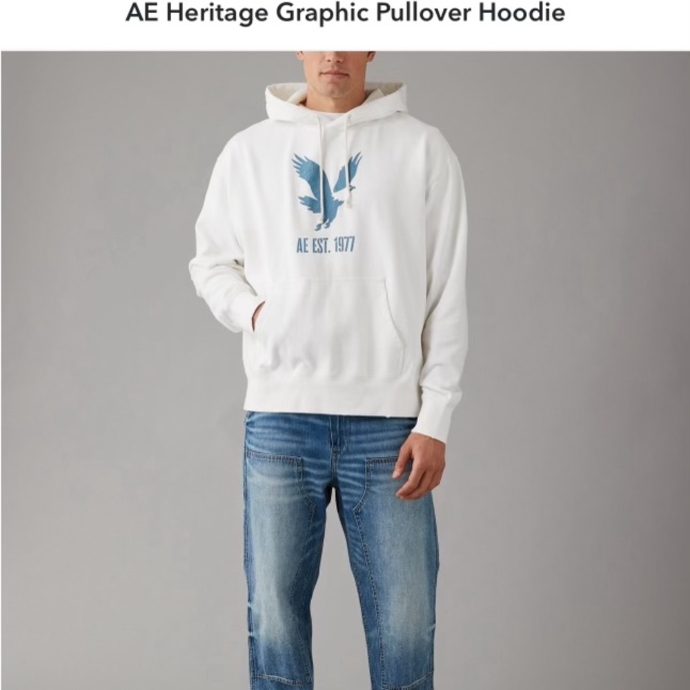 American Eagle heritage graphic hoodie
